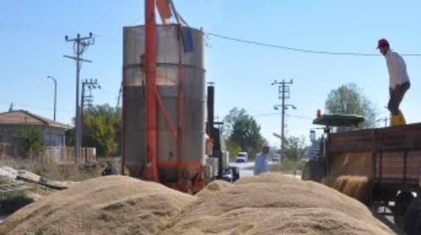 Edirne'de &Ccedil;eltik Tarladan Kurutma Makinelerine Geldi