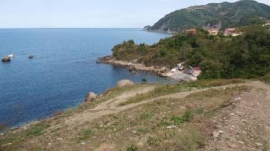 Cide&rsquo;ye Balık&ccedil;ı Barınağı Projesi