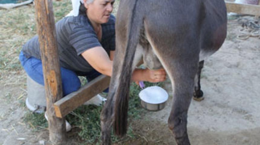 Eşeğin s&uuml;t&uuml;nden sonra sabunu reva&ccedil;ta