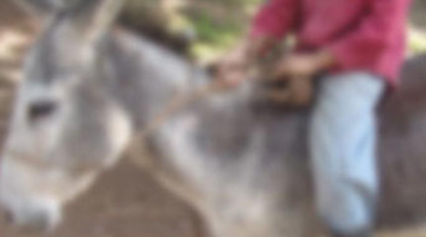 Eşekten d&uuml;şt&uuml; sanılan adam cinayete kurban gitmiş