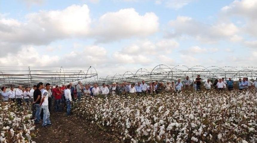 May Tohum Arge Yatırımlarını Adanalı &Uuml;reticilere Anlattı