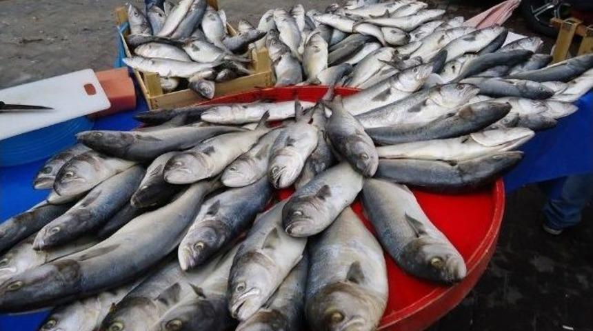 Tekirdağ&rsquo;da Balık Operasyonu