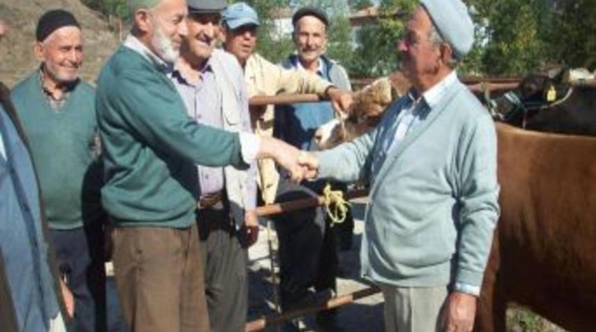 Kavak'da Kurban Pazarı Kuruldu