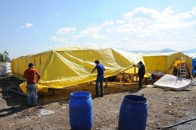 Başiskele Belediyesi Kurban Satış Yeri Hizmete A&ccedil;ıldı 1