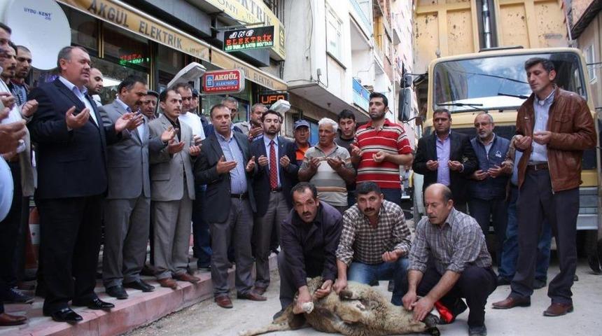 Suluova Belediyesi Asfalt &Ccedil;alışmalarına Başladı