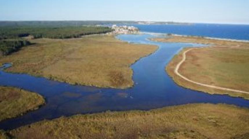 Longoz Ormanlarının G&uuml;zelliği Havadan G&ouml;r&uuml;nt&uuml;lendi