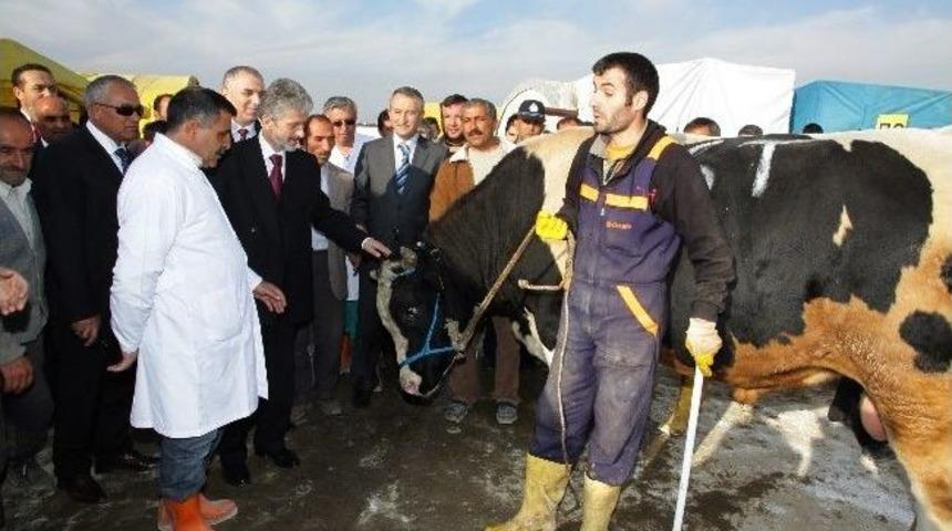Sincan Belediyesi Kurban Bayramı &Ccedil;alışmalarını S&uuml;rd&uuml;r&uuml;yor