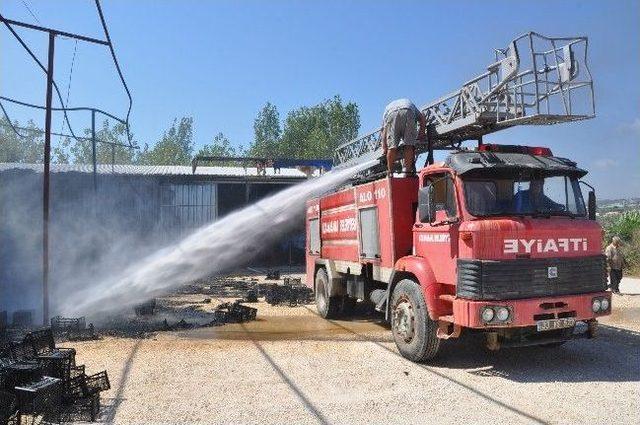 Limon İşleme Tesisinde Yangın