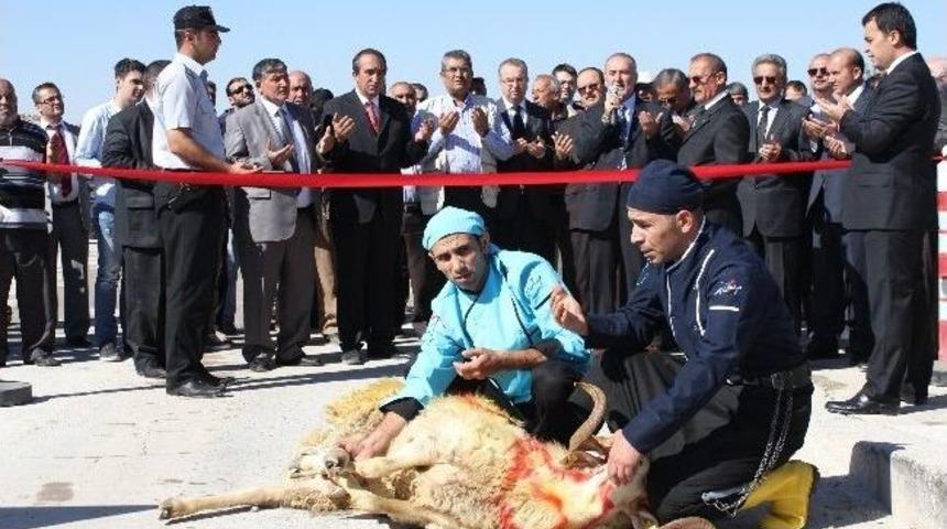 Konya Ve &Ccedil;umra Şeker&rsquo;de Pancar Alımı Başladı