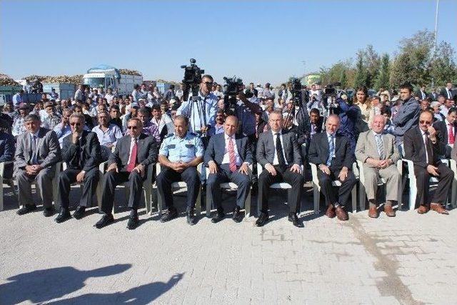 Konya Ve Çumra Şeker’de Pancar Alımı Başladı