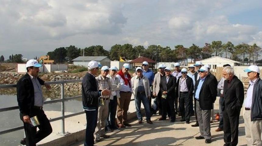 Sa&uuml;'l&uuml; Akademisyenler Hes'i İnceledi