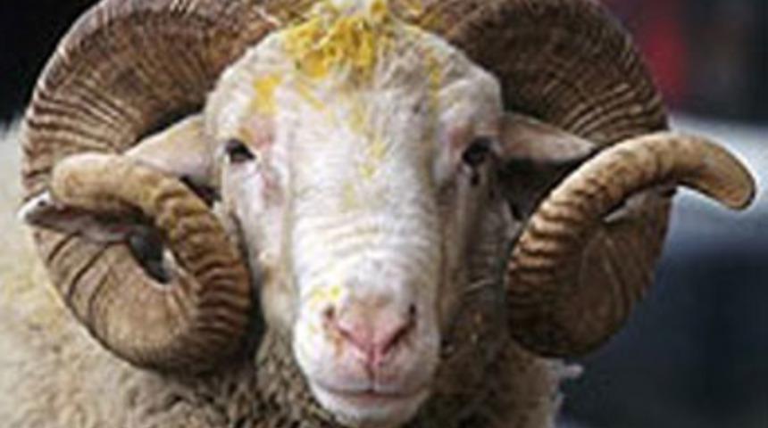 Kurban Bayramı tatili ka&ccedil; g&uuml;n?