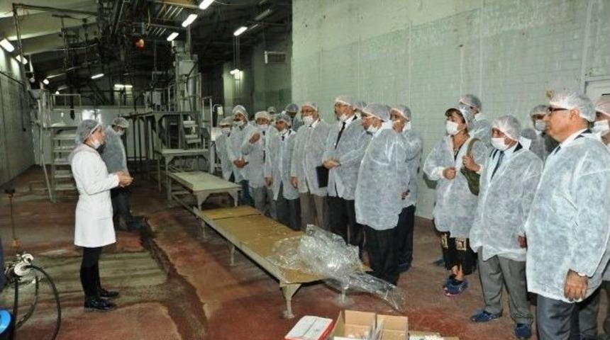 Yy&uuml; Senatosu Van-et&rsquo;te Toplandı