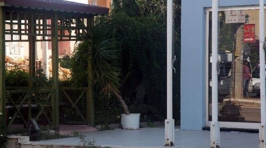 Aesob Bah&ccedil;esinde Ş&uuml;pheli Paket