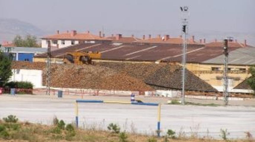 Malatya&rsquo;da Pancarı Alımlarına Başlandı