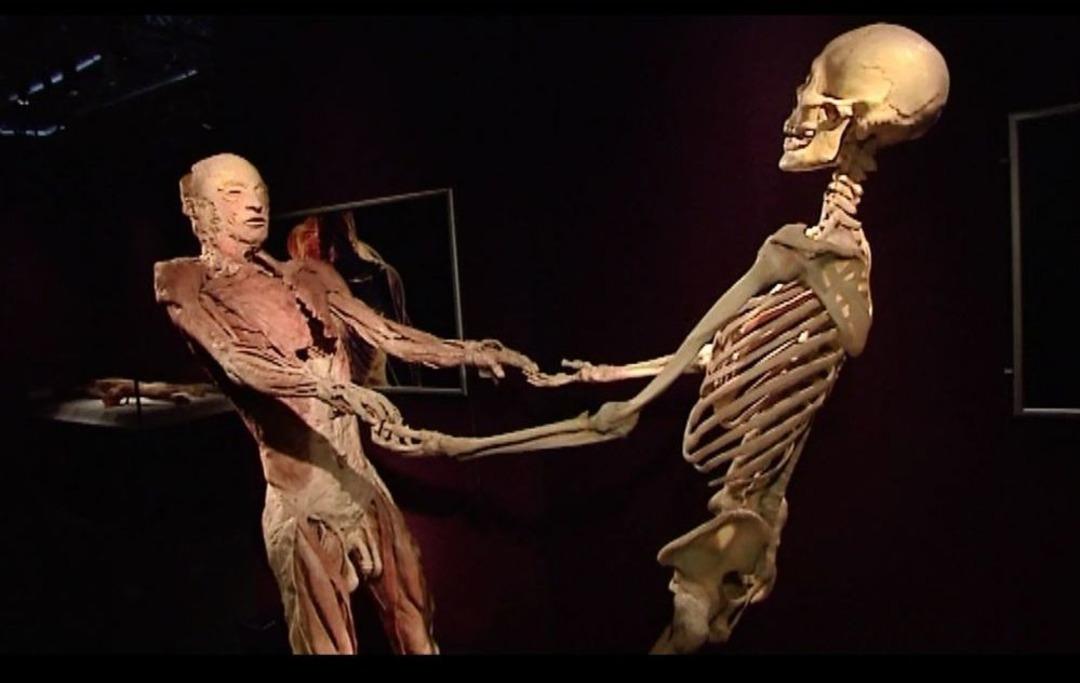 İzmir K&uuml;lt&uuml;rpark'ta ceset  sergisi