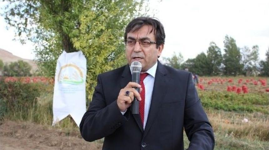 &Ccedil;ayırlı&rsquo;da Cipslik Patates &Uuml;retimi