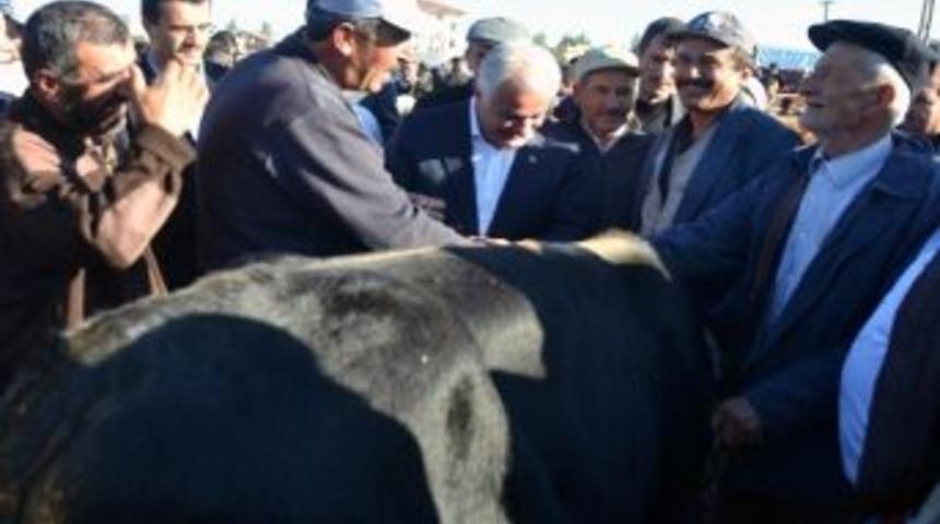 &Ccedil;ubuk'ta Kurbanlıklar G&ouml;r&uuml;c&uuml;ye &Ccedil;ıktı