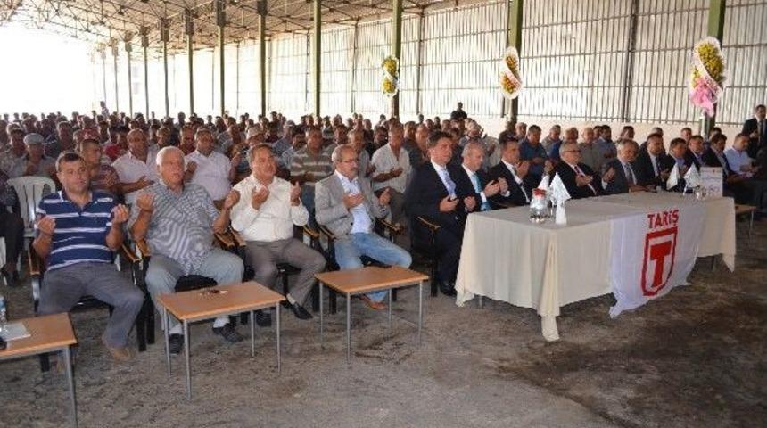 S&ouml;ke Tariş Pamuk Kooperatifi Pamuğu Peşin Paraya Alacak