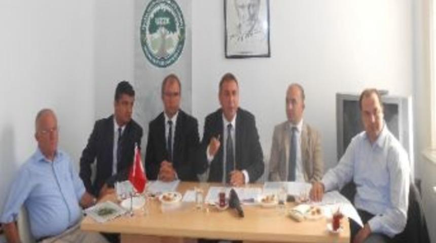 Zeytinyağında 130 Bin Ton Rekolte Bekleniyor