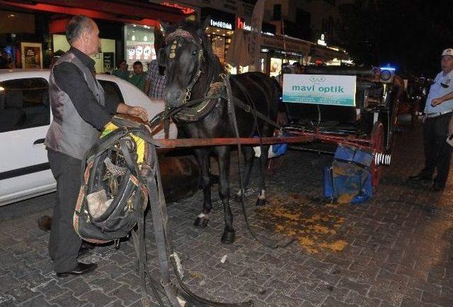 Bu Olay Hayvan Hakları Savunucularını Kızdıracak