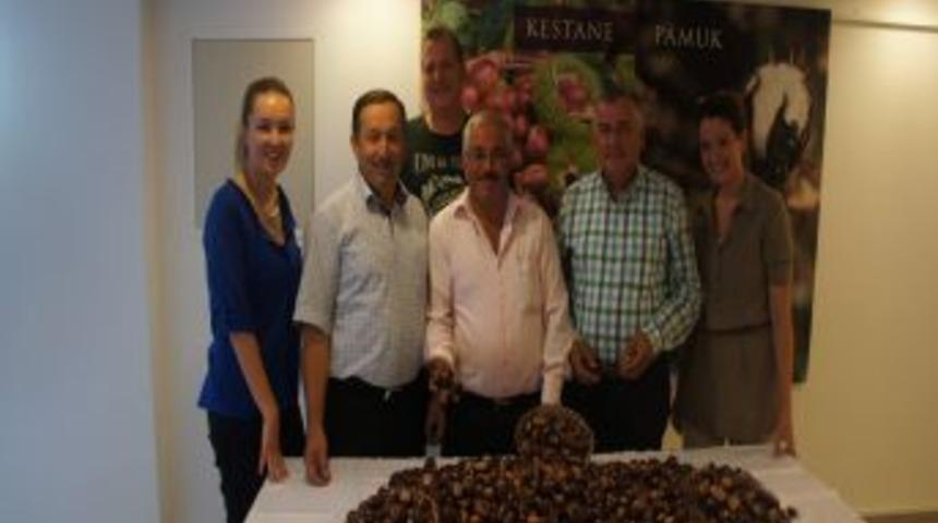 Sezonun Ilk Kestanesi Borsada