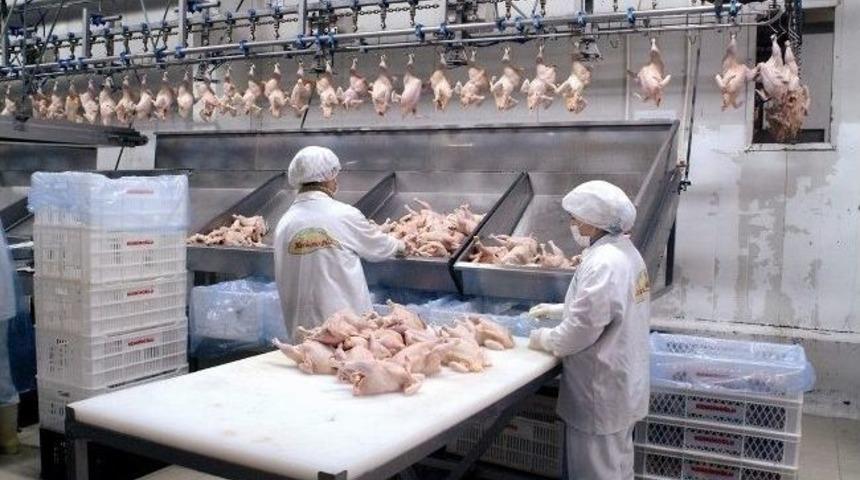 İhracatta Rekor Kıran Kanatlı Sekt&ouml;r&uuml; İ&ccedil; Pazara Y&ouml;neldi