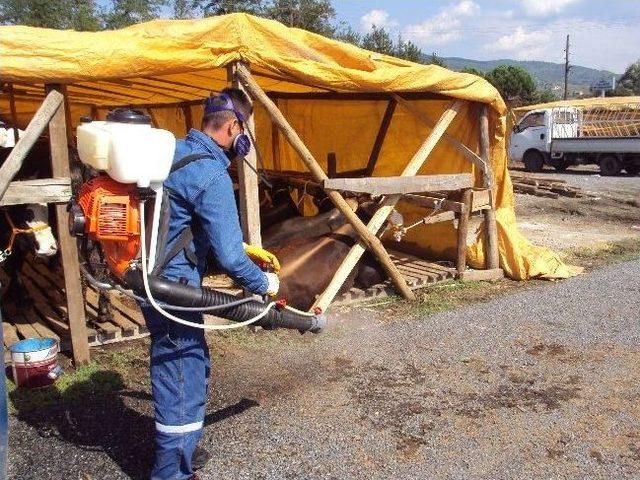 Ereğli’de Kurbanlıklar Sağlık Kontrolünden Geçirildi