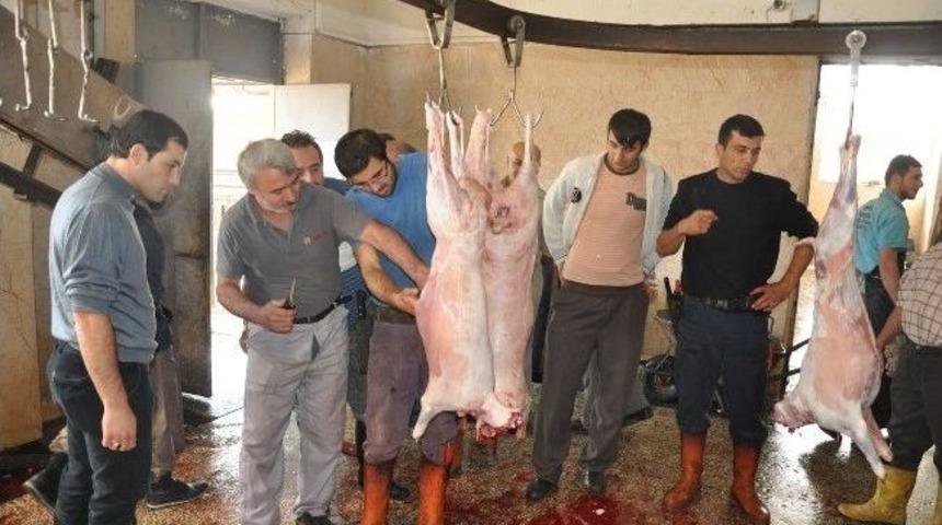 Hasta Kurbanlıklar Sizi De Hasta Etmesin