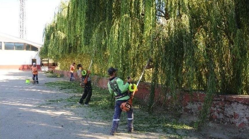 Başiskele&rsquo;de Dereler Tertemiz