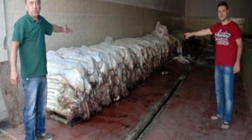 Mahallenin Koku İsyanı