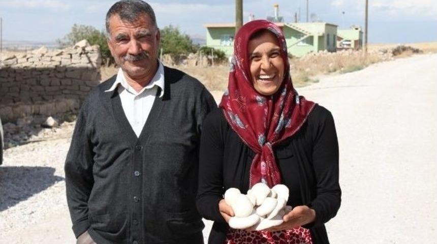 Niğde&rsquo;de Kadın Kursiyerler Mantar İşletmesini Gezdi