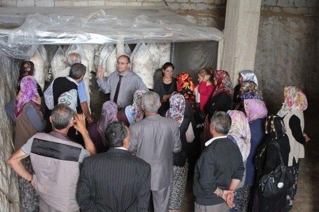 Niğde’de Kadın Kursiyerler Mantar İşletmesini Gezdi