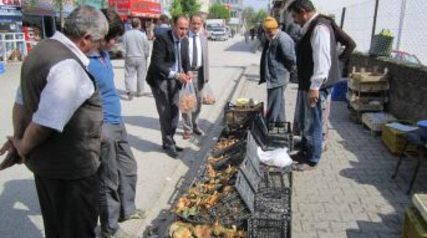 Kanlıca Mantarı 15 TL'den Satılıyor