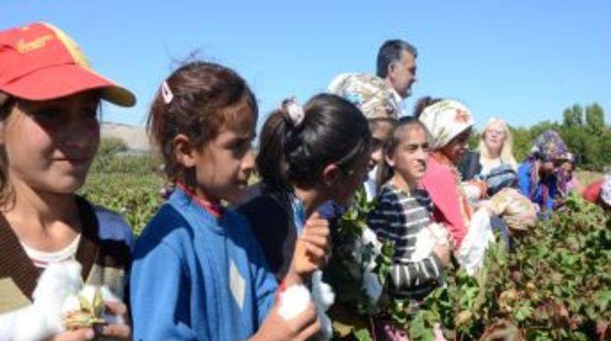 Şanlıurfa'da 110 Bin &Ouml;ğrenci Okul Yerine Tarlada