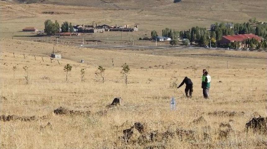 Tabyalarda Şehit Mezarları G&uuml;ny&uuml;z&uuml;ne &Ccedil;ıkarılacak