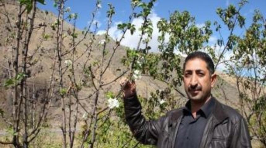 Erzurum'un Oltu İl&ccedil;esinde G&uuml;z Yerine Bahar Geldi