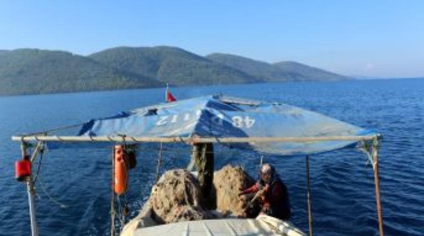 Sayısı Artan Kadın Balık&ccedil;ılara Projeyle Destek Olunacak