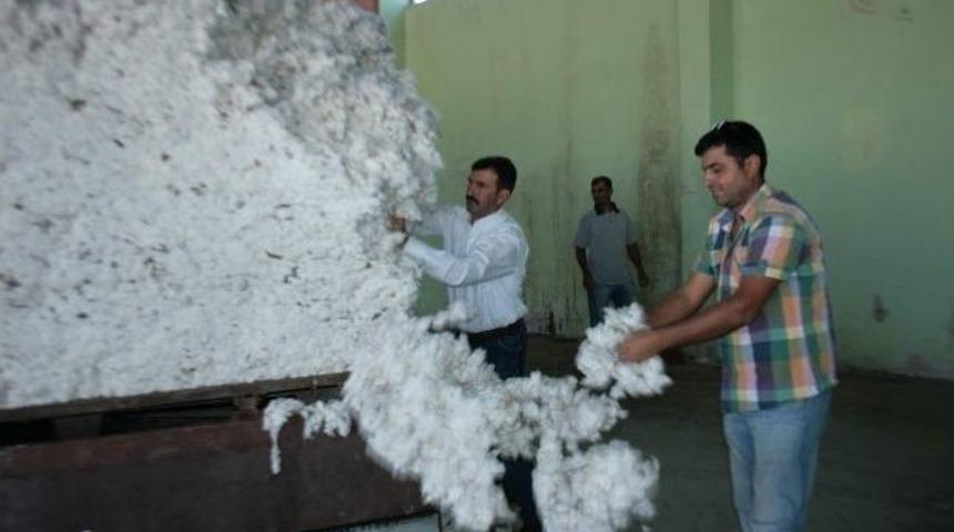 Ortaca Tariş K&uuml;tl&uuml; Pamuk Alımına Başladı