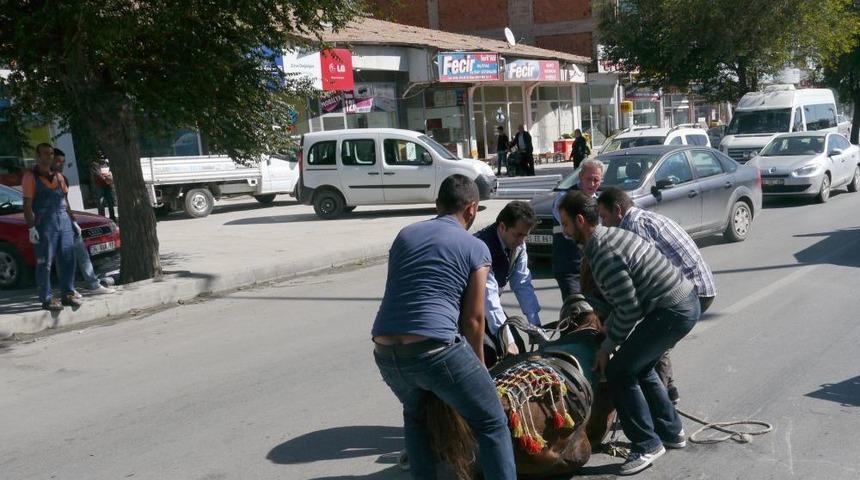 Hastalanan At Kepçe Yardımıyla Taşındı