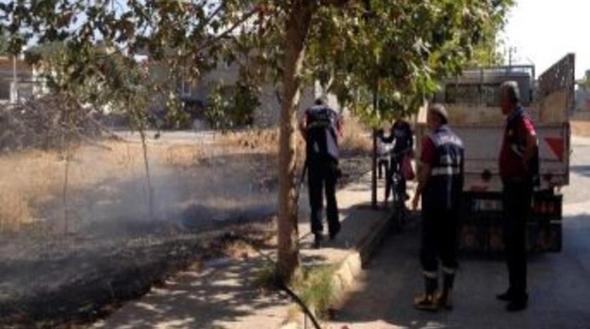 Alev Alan Kuru Otlar Mahalle Sakinlerini Korkuttu