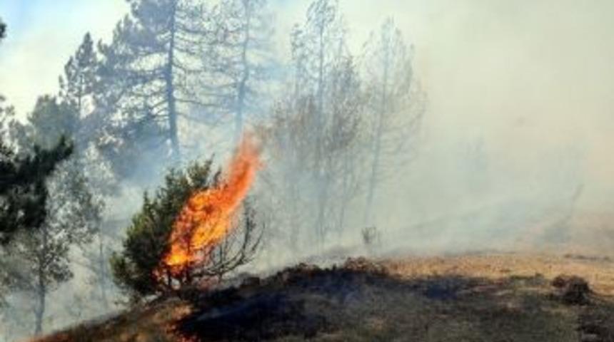 Bolu&rsquo;da İki Ayrı K&ouml;yde Aynı Anda Orman Yangını