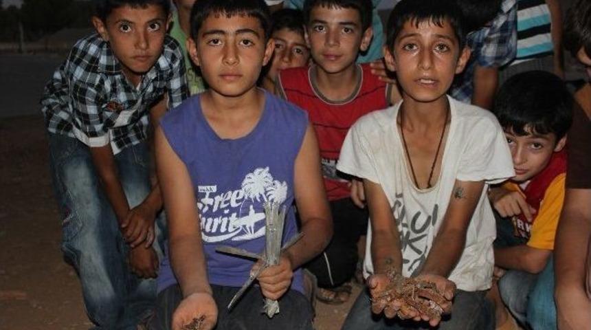 Suriye Sınırında &Ccedil;ocuk Olmak