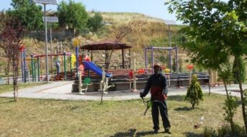 İzmit'te Tırpan Sezonu Sona Eriyor