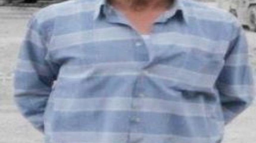 Kestiği Kavak Ağacı &Uuml;zerine D&uuml;şt&uuml;