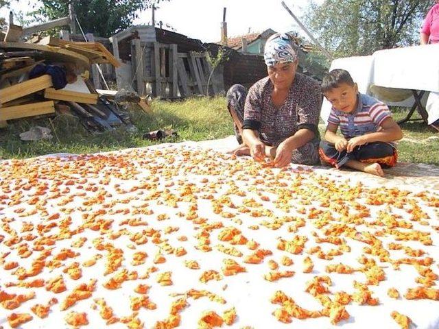 Edirne'de Tarhana Sezonu Başladı