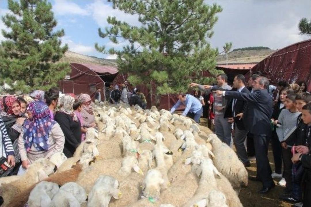 Yozgat&rsquo;ta Bu Yıl Yetim &Ccedil;ocukların Evinde De Kurban Sevinci Yaşanacak