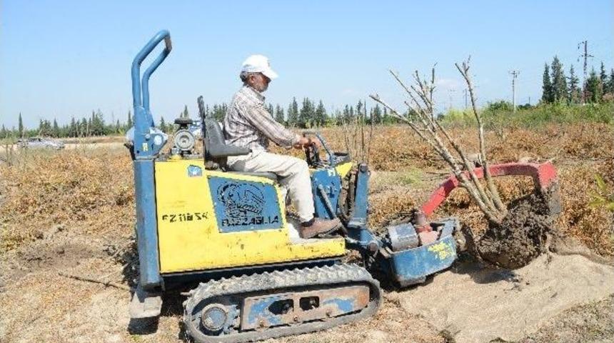 Expo 2016 Antalya Hazırlıkları