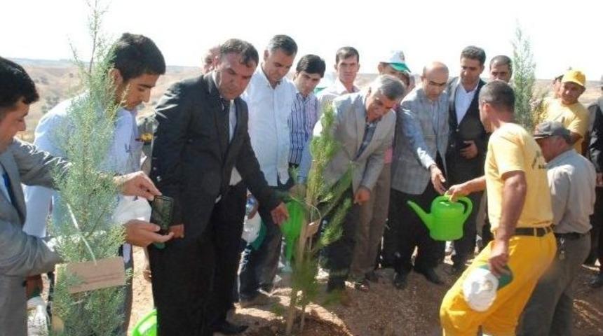 Yeşil Adıyaman İçin Ağaçlandırma Çalışmaları Başladı