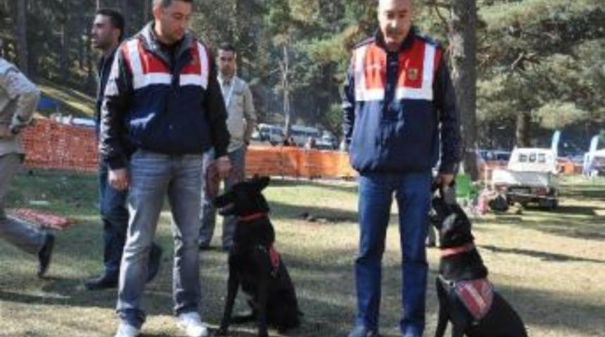 Uslu Ve Han&ccedil;er İlgi Odağı Oldu